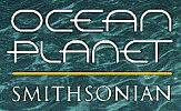 Ocean Planet Homepage Icon