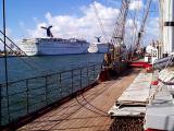 cruise_ships_miami.jpg