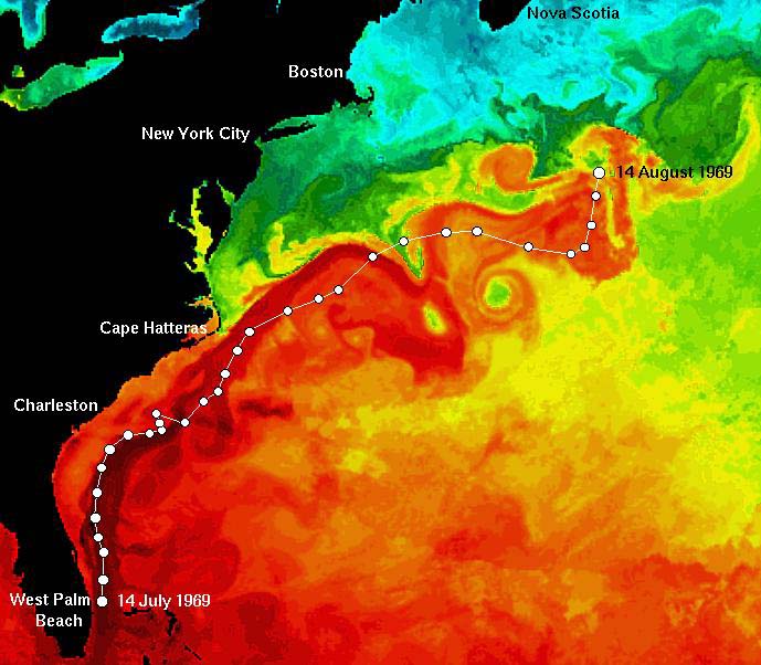ben franklin route on satellite sea surface temperature map