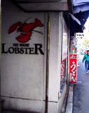 main_lobster.jpg