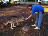 andreas_feeding_kangaroo.jpg